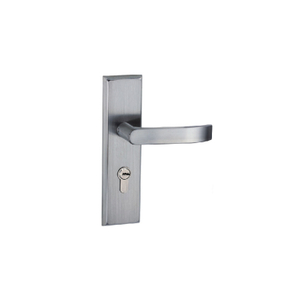 Stainless Steel Customised Lever Door Handle EH-2213