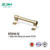 Sliding Lock Handle STG13P 